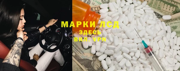 гашик Алексин