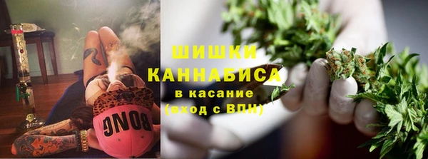 гашик Алексин
