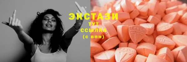 гашик Алексин