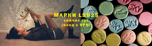 гашик Алексин