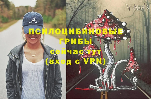 прущие крисы Алзамай