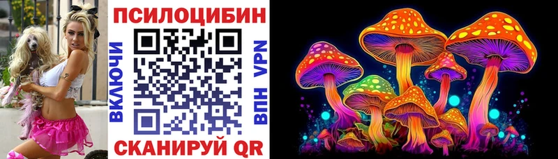 даркнет клад  Аткарск  Псилоцибиновые грибы Cubensis 